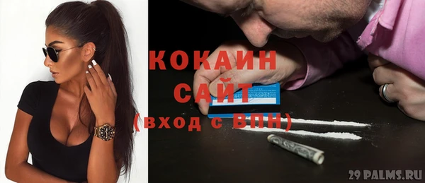 винт Алексин
