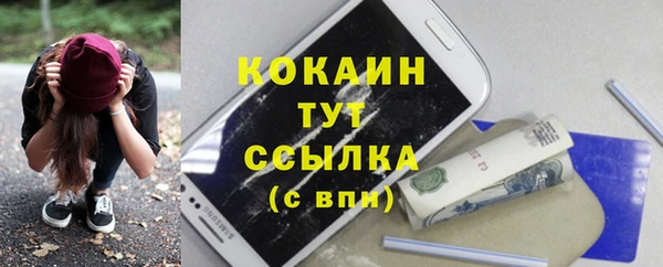винт Алексин