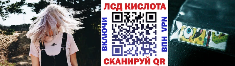 Марки 25I-NBOMe 1500мкг  наркошоп  Жиздра 